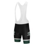 Buffalo Trace Stripe Men's Cycling Jersey Set